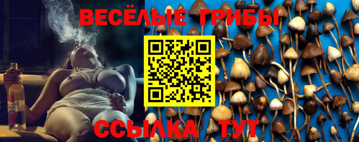 Спасск-Дальний  Галлюциногенные грибы Magic Shrooms  Вход с VPN 