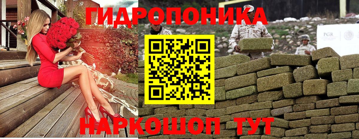 Каннабис Bruce Banner  Бошки Шишки SATIVA & INDICA  Канабис сатива  Спасск-Дальний  Вход с VPN  Канабис планчик 